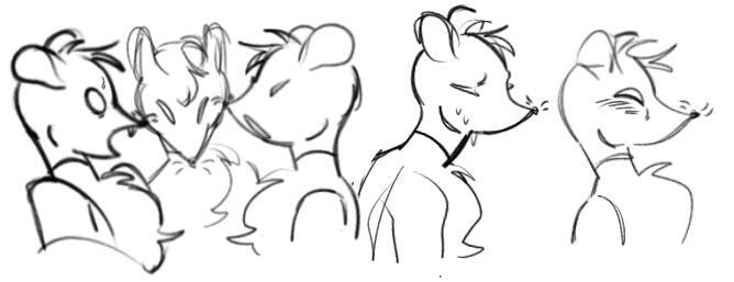 Petunia 2023-2024 expression sheet