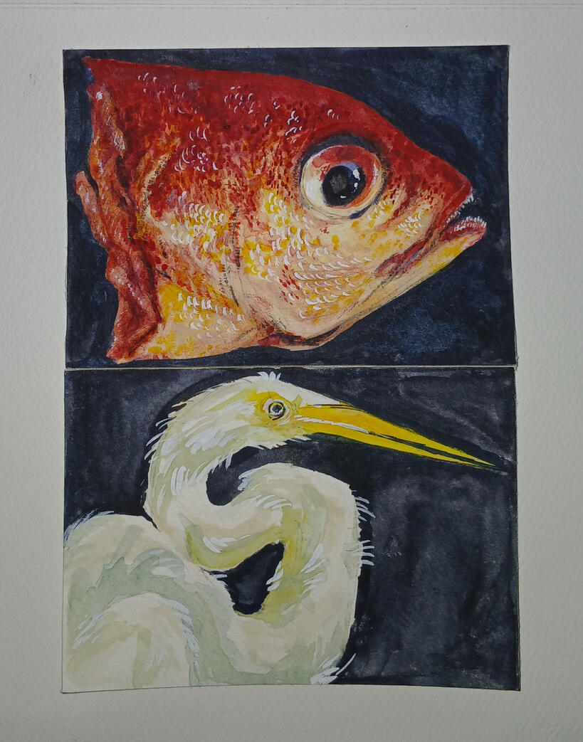 Watercolour ACEOs